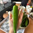 지안축산물 - 송파구 동남로18길 20 | 사계절 내내 예쁜 풍경이 가득한 산 뷰 맛집 “네이처펜션“ | 깨끗한 시설과 깨끗한 식기류 | 솔직후기