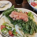 엘 브로테(EL BROTE)