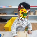 스콜라몬테소리 이미지