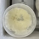 라이또PC 광주 봉선점 | 광주 가성비 맛집 봉선동 30년 전통 제육우렁쌈밥 +수제 두쫀쿠 | 당산나무집