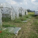 성하농장 이미지