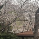 황금포커랜드 | 황금독수리온세상을놀라게하다