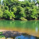 (주)그린월드 이미지