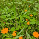 시립서부노인전문요양센터 | #시립서부노인전문요양센터봉사