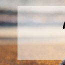 정다운펜션 이미지