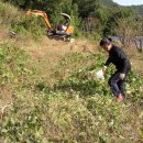 포크래인 이미지