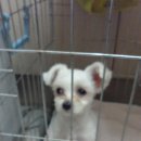 신도여관 이미지