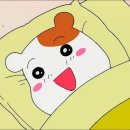 꼼지락 Daum카페