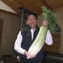 영하개 이미지