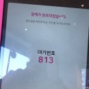 오넨 | #서울살이_청산하는_빠수니