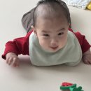 네오pc | 네오캐 수면교육 후기 (1) 장단점 내돈내산