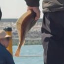 당진 좌대낚시 [무기수산] 상세 후기! 이색 데이트 추천