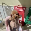 마음이네 멍발소 이미지