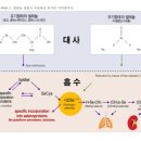 스마트셀약국 네이버블로그