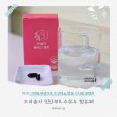 해피백약국 | 임산부부터 수유부 철분제 리포퍼 여성영양제 추천