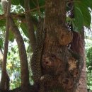 사이판모텔 이미지