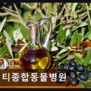시티종합동물병원