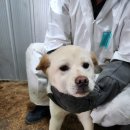 인광농장 이미지