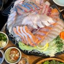 노량진수산시장 맛집] 세상에서 제일 가는 숙성회 먹고싶은 사람? '전라상회' (feat.진주식당)(재방문후기)