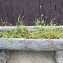 백운천회관 이미지