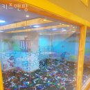 키즈앤팡 이미지
