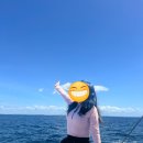 한바다식당 | 여자 혼자 세부여행 한바다 호핑 추천 후기&amp;비용