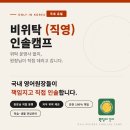 시그너스영어