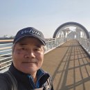 진월초등학교 Daum카페