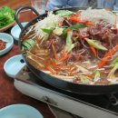 성덕댐 수달 캠핑장 이미지