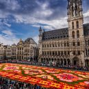 플랜더스 이미지