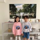 베이비베어 이미지