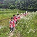 [활동후기]26년 한새봉 06월 3주차(숲해설 생태놀이)햇살반 이미지