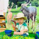 공도센트럴파크어린이집 이미지