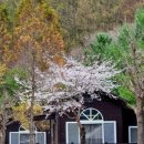 광치자연휴양림 이미지