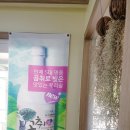 보라냐옹 이미지