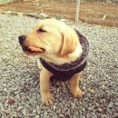 여아농장 이미지