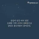 기적의 잡화점