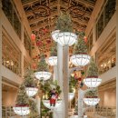 카페포레스트 이미지