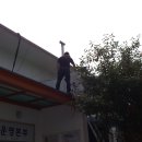 안산썰매장 이미지