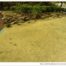 솔숲민박 이미지