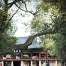 동림목장 이미지