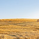 여행-추억만들기 이미지