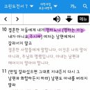 이강민 카카오 검색결과