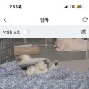 봉구비어 마장동점 | 2025.02 일상 (1)