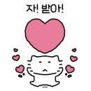 얌이크케이크 이미지