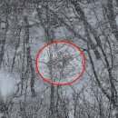 송아지집 이미지