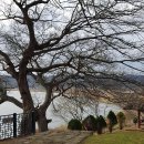 구진포장어집 이미지