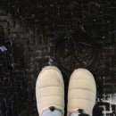 킹콩샤워 노원점 | 일상 | 구질구질한 1%의 마음으로 99%의 잔잔한 나를 흩트리지 않기