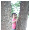 김부자농장 이미지