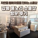강릉 풀노리 후기 — 자연의 모습을 통해 소중한 마음을 전하는 소품샵 / 요리바리의 방문 기록